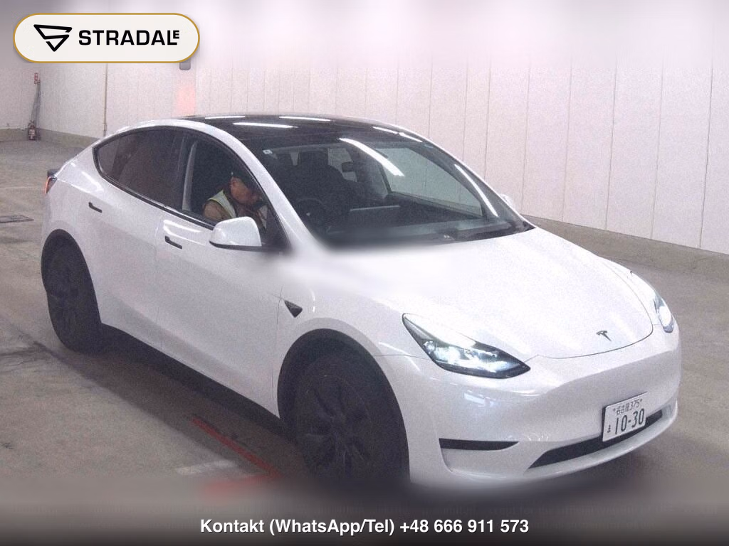 TESLA MODEL Y RWD, miniaturka 2