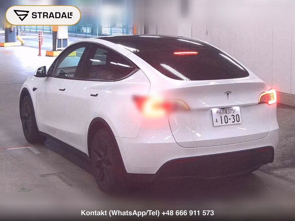 TESLA MODEL Y RWD, miniaturka 3