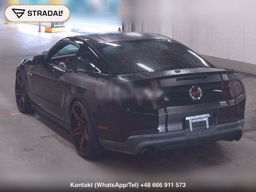 FORD MUSTANG CP GT, miniaturka 3