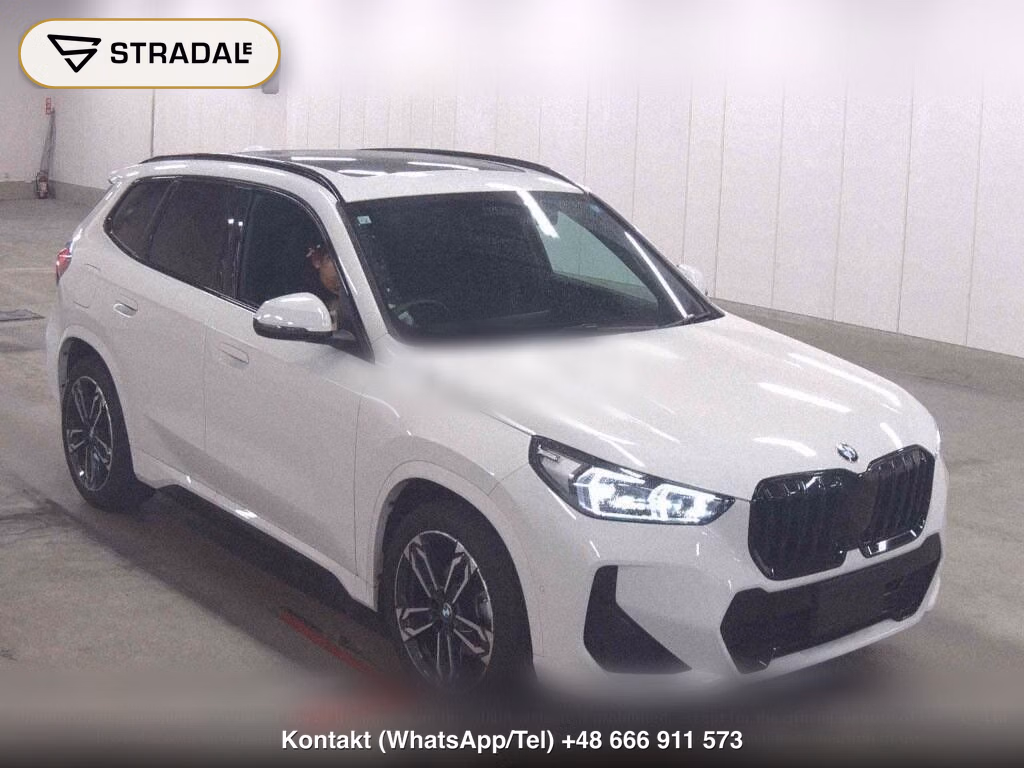 BMW X1 4WD XDRIVE 20D M-SPORT, miniaturka 2