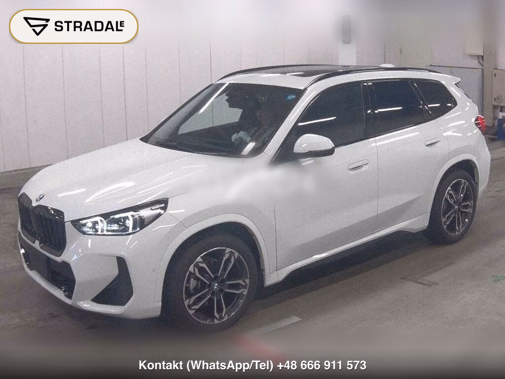 BMW X1 4WD XDRIVE 20D M-SPORT, miniaturka 5