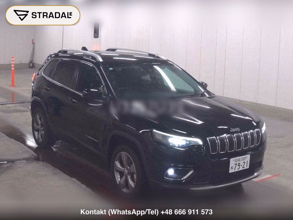 CHRYSLER JEEP JEEP CHEROKEE 5D 4WD LIMITED, miniaturka 2