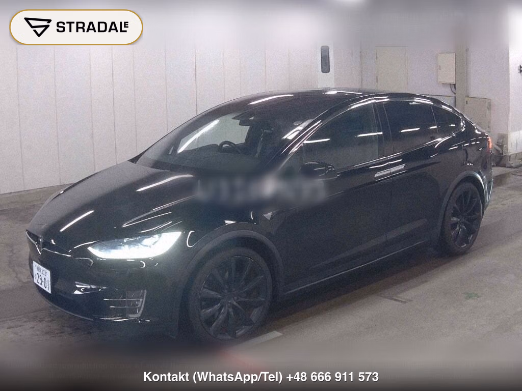 TESLA MODEL X 4WD 100D, miniaturka 5