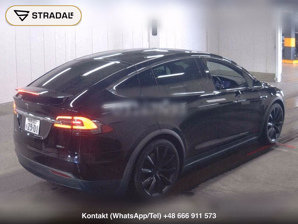 TESLA MODEL X 4WD 100D, miniaturka 6