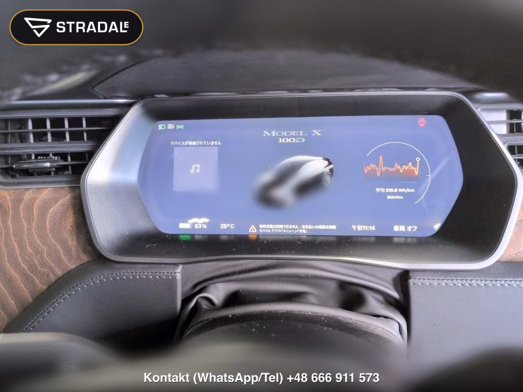 TESLA MODEL X 4WD 100D, miniaturka 7