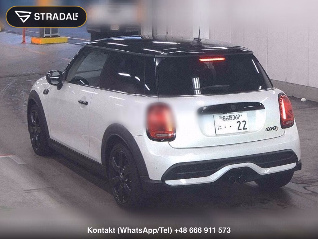 MINI MINI 3D COOPER S, miniaturka 3