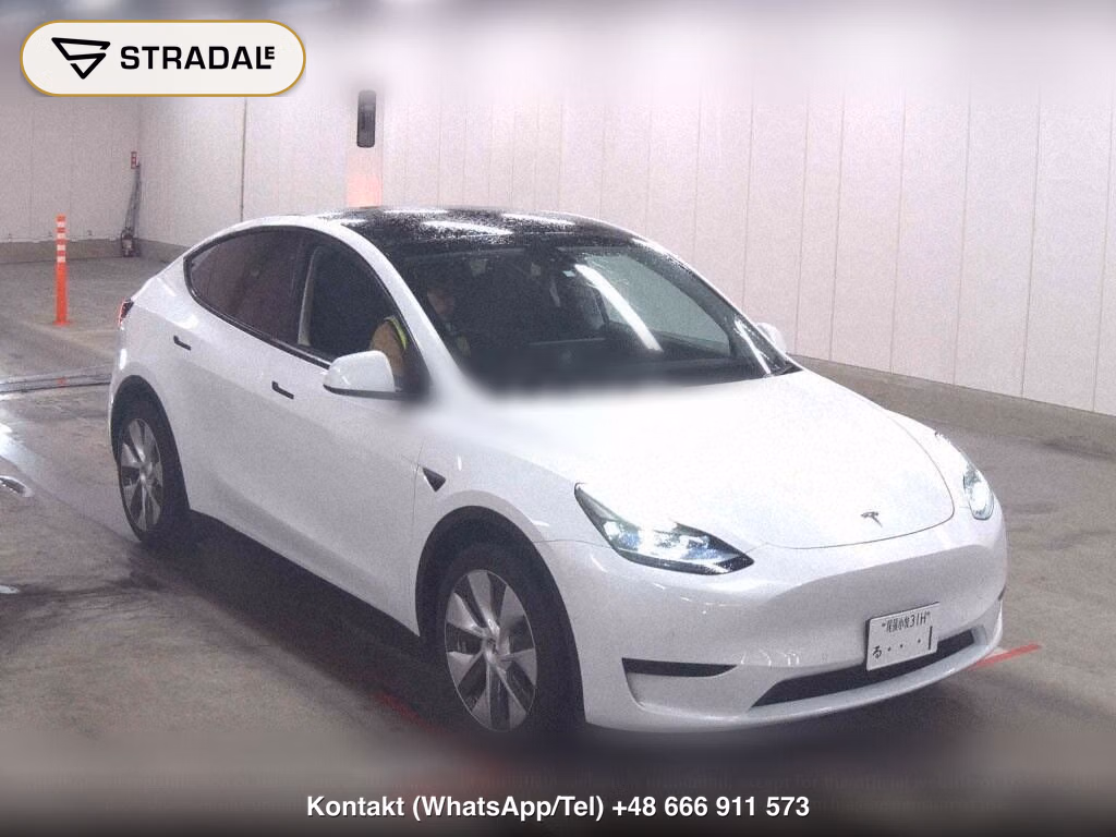 TESLA MODEL Y RWD, miniaturka 2