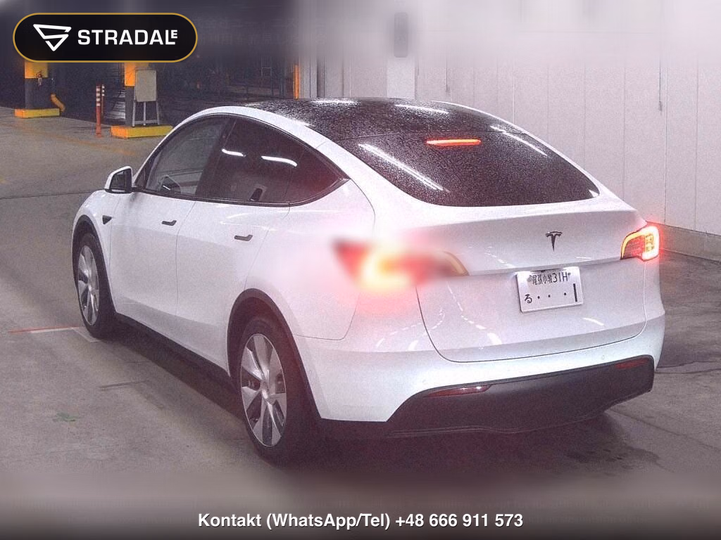 TESLA MODEL Y RWD, miniaturka 3