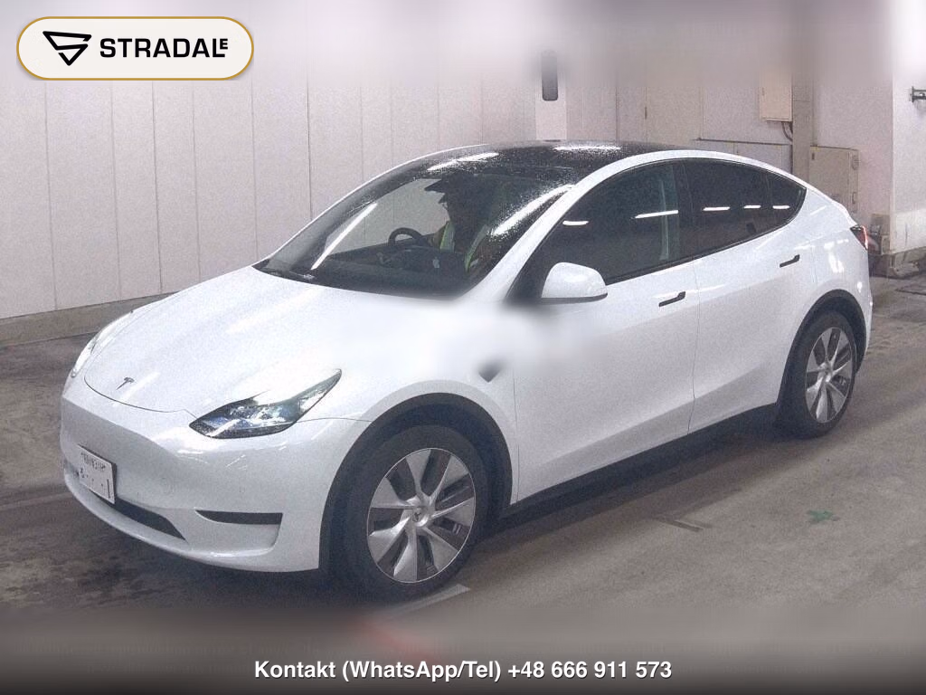TESLA MODEL Y RWD, miniaturka 5