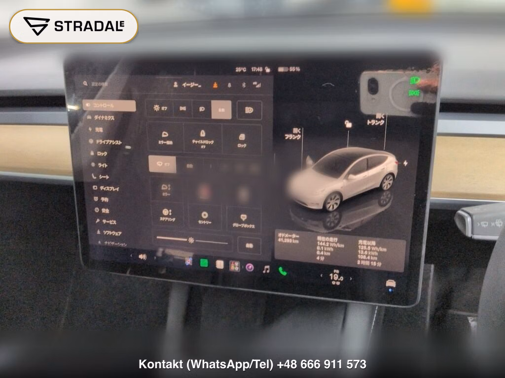 TESLA MODEL Y RWD, miniaturka 7