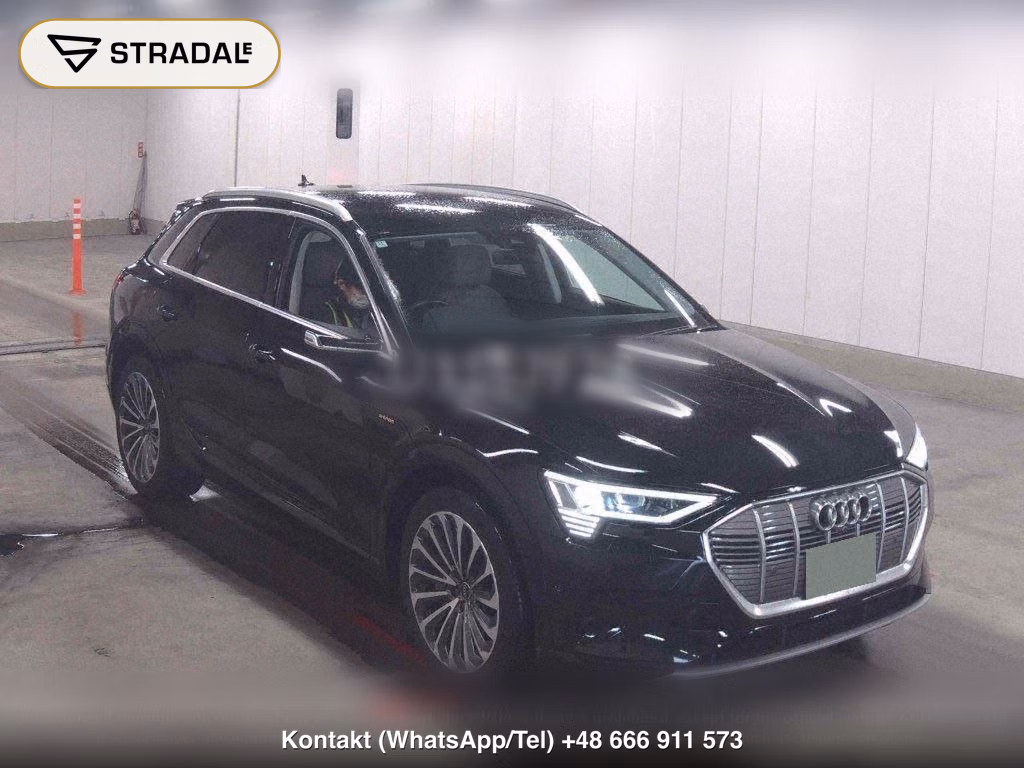 AUDI E-TRON 4WD 55 QUATTRO ADVANCED, miniaturka 2