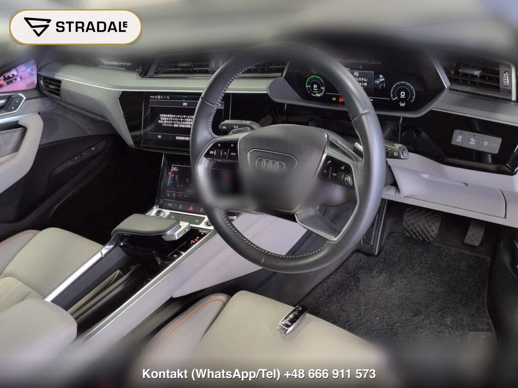 AUDI E-TRON 4WD 55 QUATTRO ADVANCED, miniaturka 4