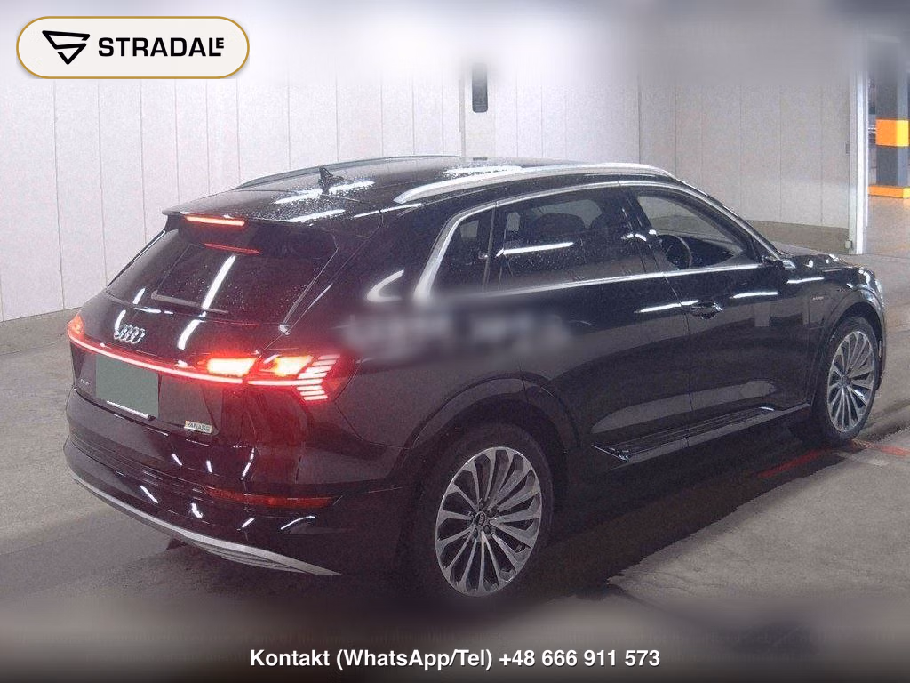 AUDI E-TRON 4WD 55 QUATTRO ADVANCED, miniaturka 6