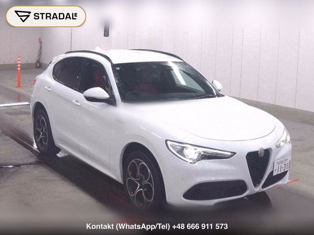 ALFA ROMEO STELVIO 4WD 2.0 TURBO Q4 VELOCE, miniaturka 2