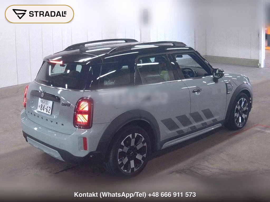 MINI MINI 5D COOPER D CROSSOVER UNTAMED EDITION, miniaturka 5