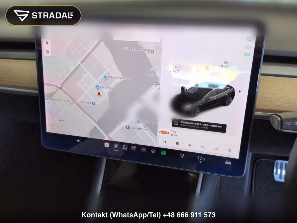 TESLA MODEL 3 STANDARD RANGE PLUS, miniaturka 6