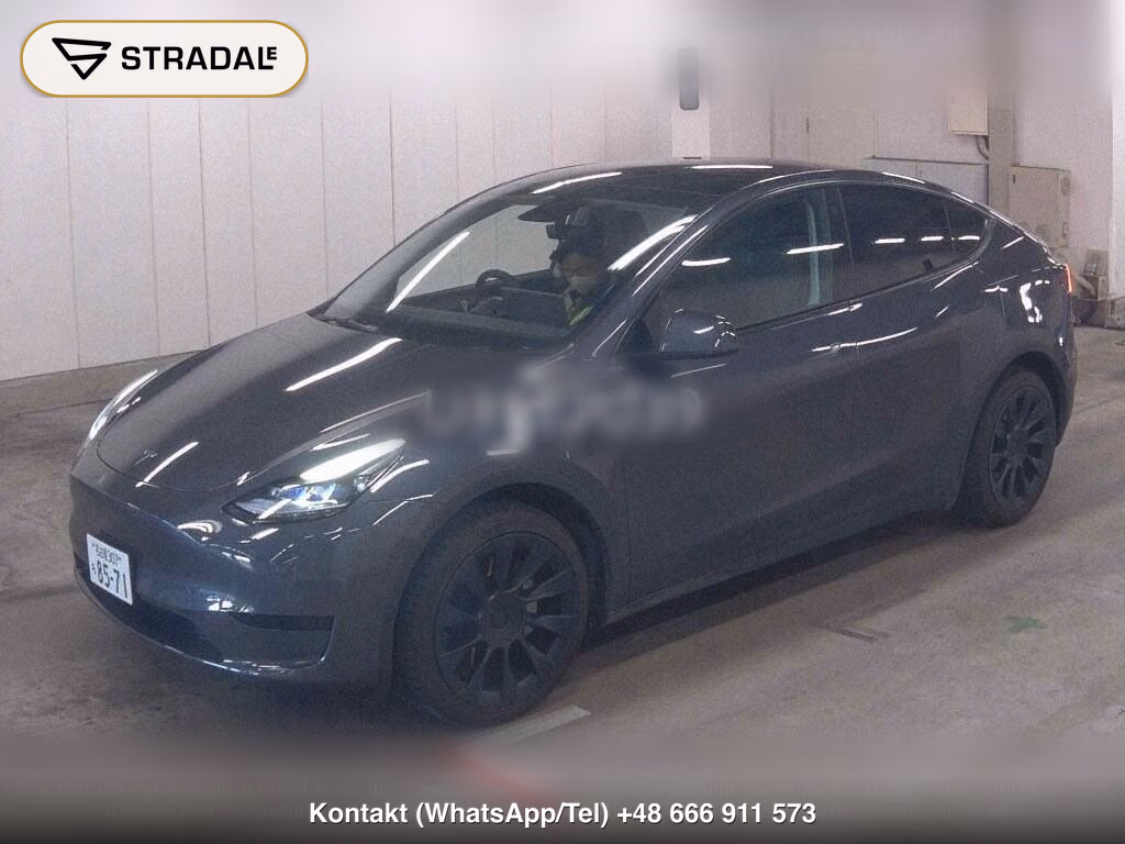 TESLA MODEL Y RWD, miniaturka 5