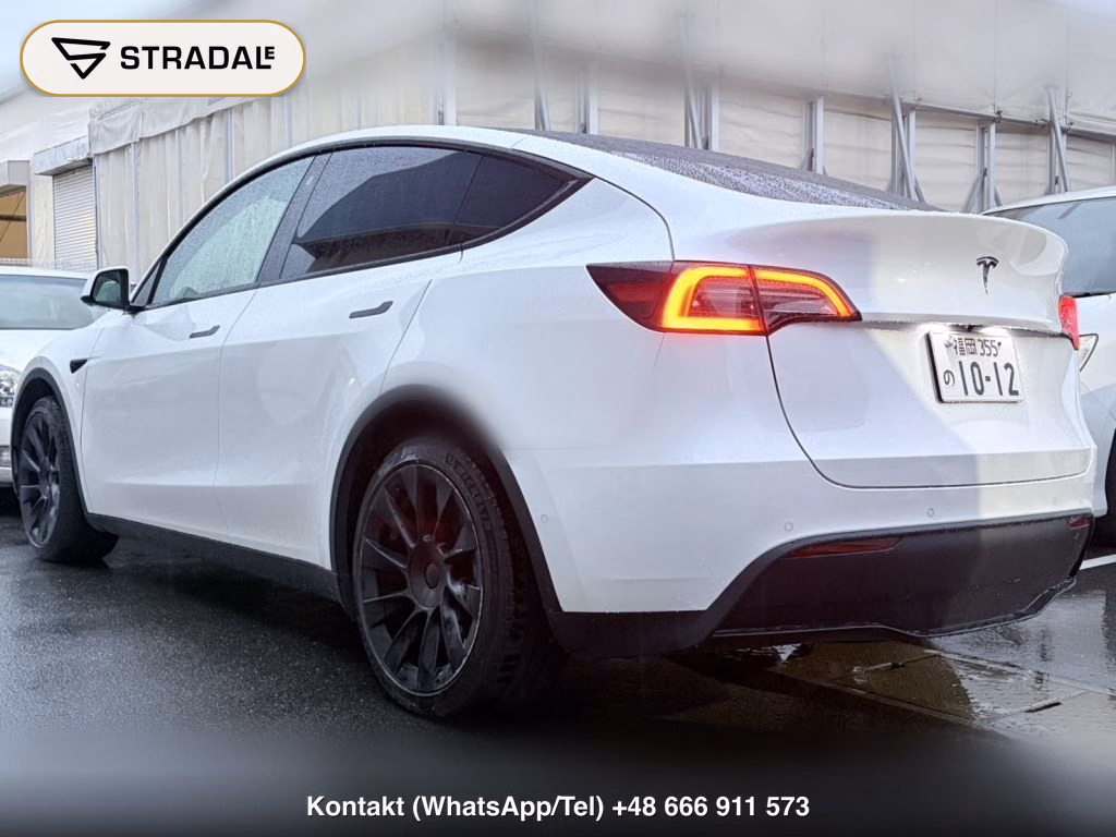 TESLA MODEL Y RWD, miniaturka 11