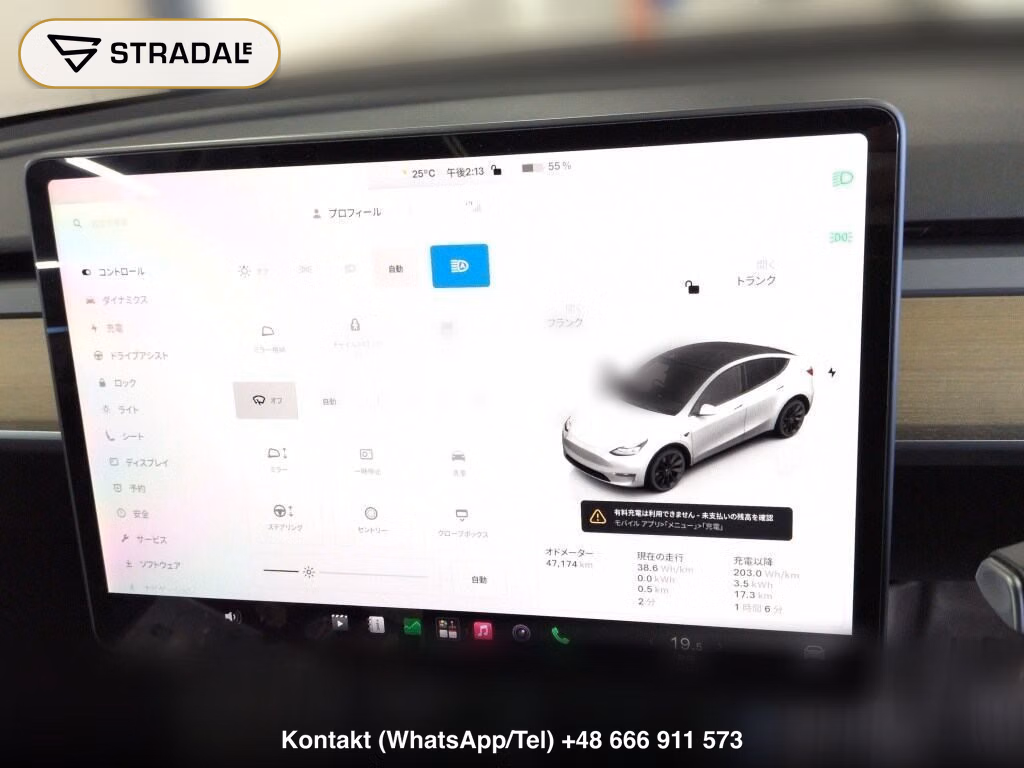 TESLA MODEL Y RWD, miniaturka 7