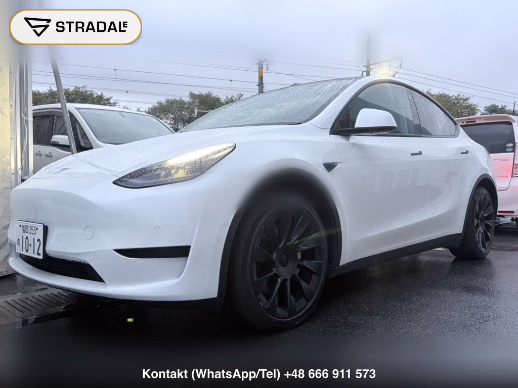 TESLA MODEL Y RWD, miniaturka 10
