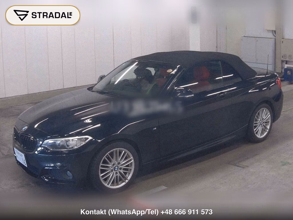 BMW 2 SERIES OP 220I CABRIOLET M-SPORT, miniaturka 5