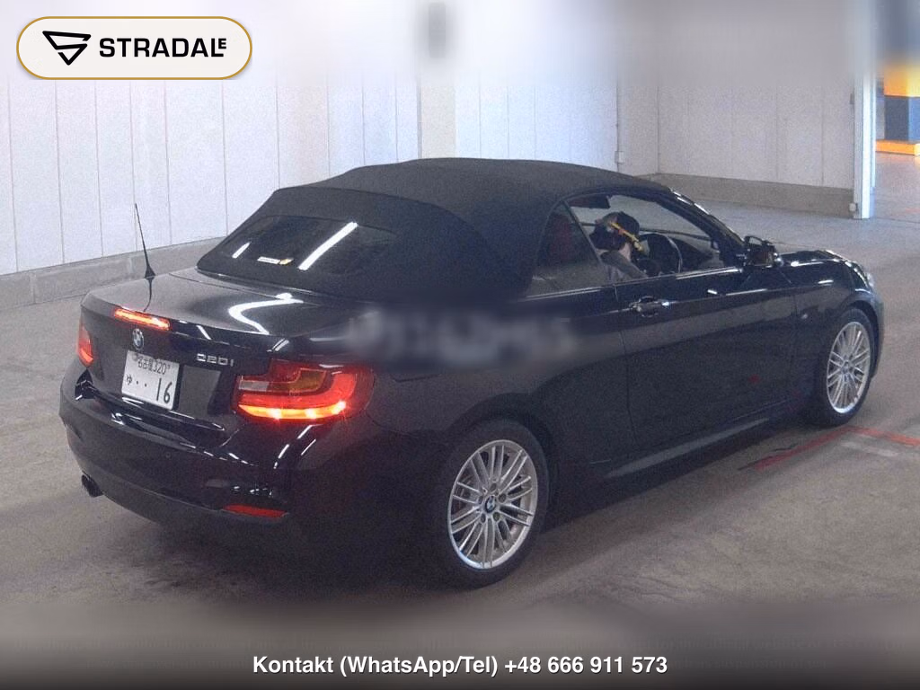 BMW 2 SERIES OP 220I CABRIOLET M-SPORT, miniaturka 6