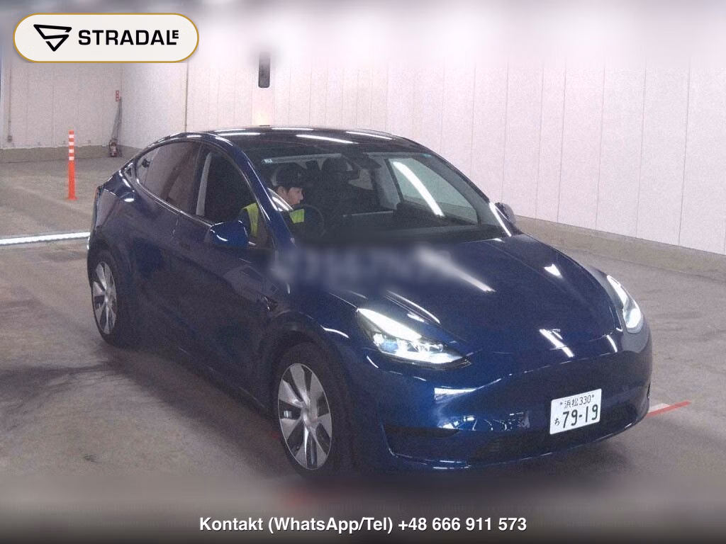 TESLA MODEL Y RWD, miniaturka 2