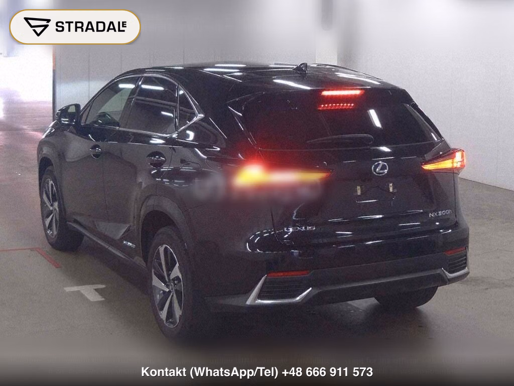 LEXUS NX NX300H SPECIAL EDITION SPICE AND CHIC, miniaturka 3