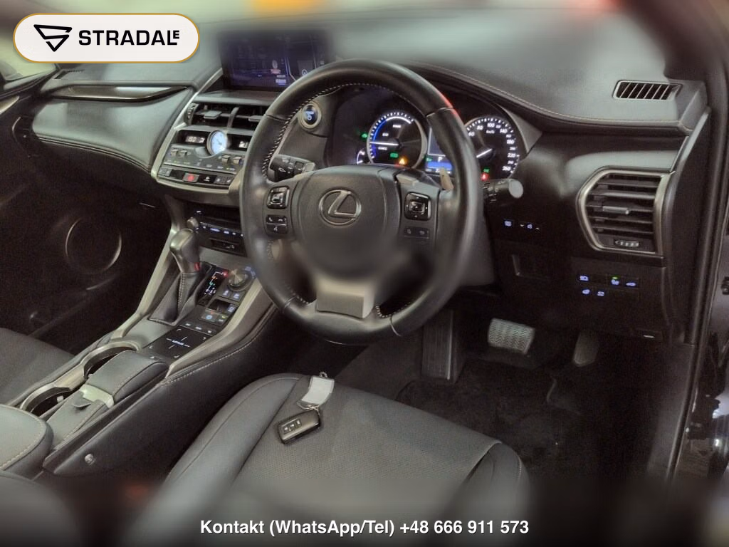 LEXUS NX NX300H SPECIAL EDITION SPICE AND CHIC, miniaturka 4