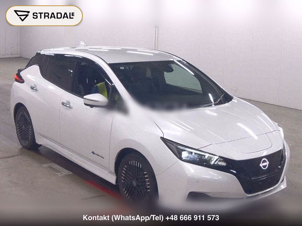 NISSAN LEAF X, miniaturka 2
