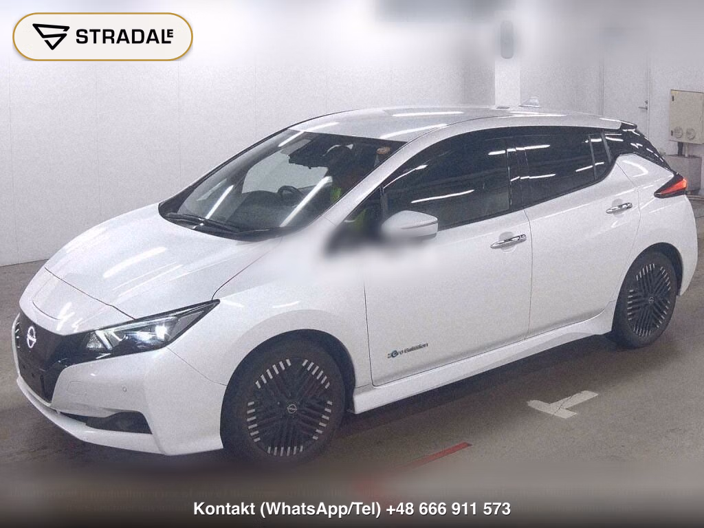 NISSAN LEAF X, miniaturka 5