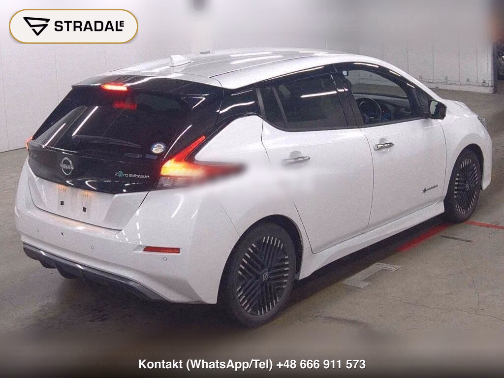 NISSAN LEAF X, miniaturka 6