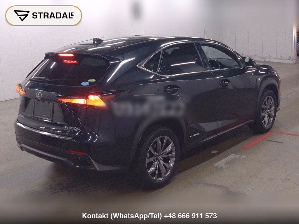LEXUS NX NX300H F SPORT, miniaturka 6