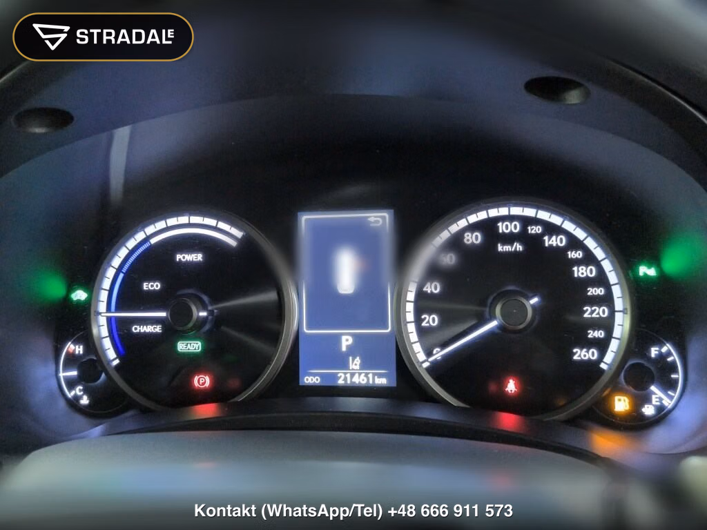LEXUS NX NX300H F SPORT, miniaturka 7