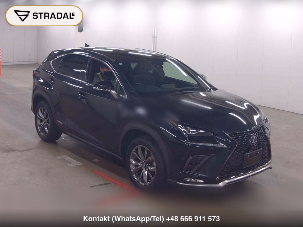 LEXUS NX NX300H F SPORT 2020, aukcja z Japonii, zdjęcie 1