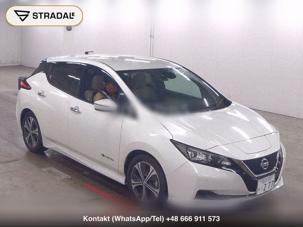 NISSAN LEAF X 10 THOUSAND UNITS MEMORIAL CAR, miniaturka 2
