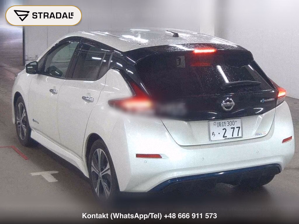 NISSAN LEAF X 10 THOUSAND UNITS MEMORIAL CAR, miniaturka 3
