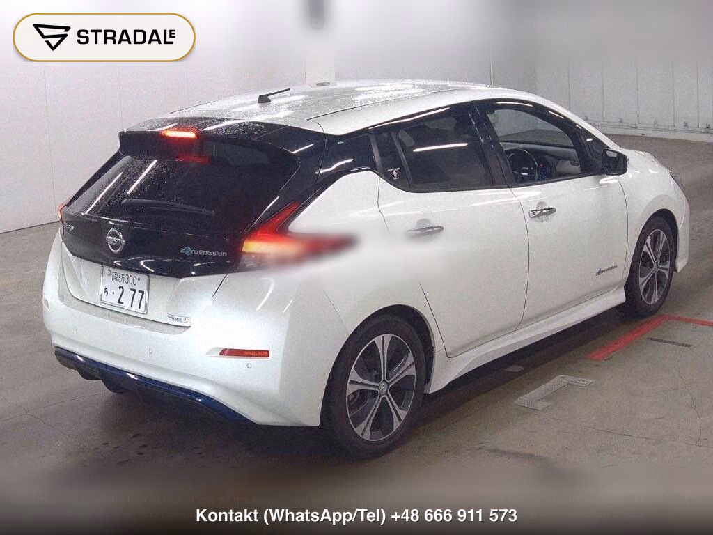 NISSAN LEAF X 10 THOUSAND UNITS MEMORIAL CAR, miniaturka 6