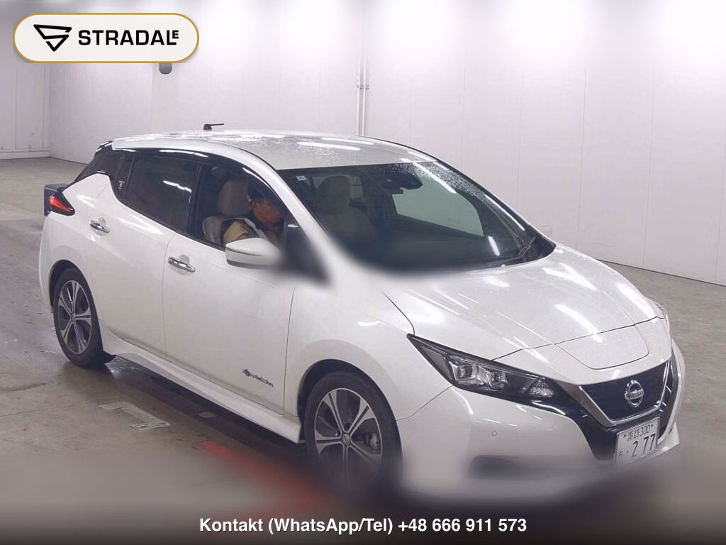 NISSAN LEAF X 10 THOUSAND UNITS MEMORIAL CAR 2018, aukcja z Japonii, zdjęcie 1