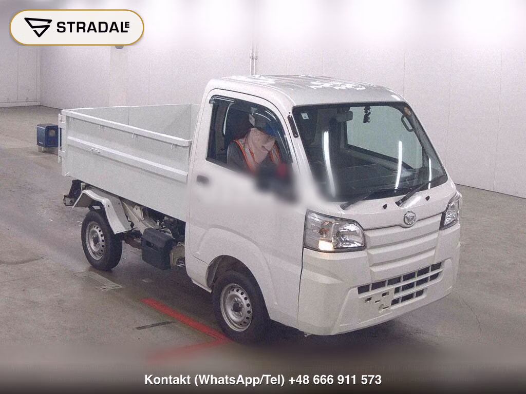 DAIHATSU HIJET TRUCK 4WD CLEANING DUMP, miniaturka 2