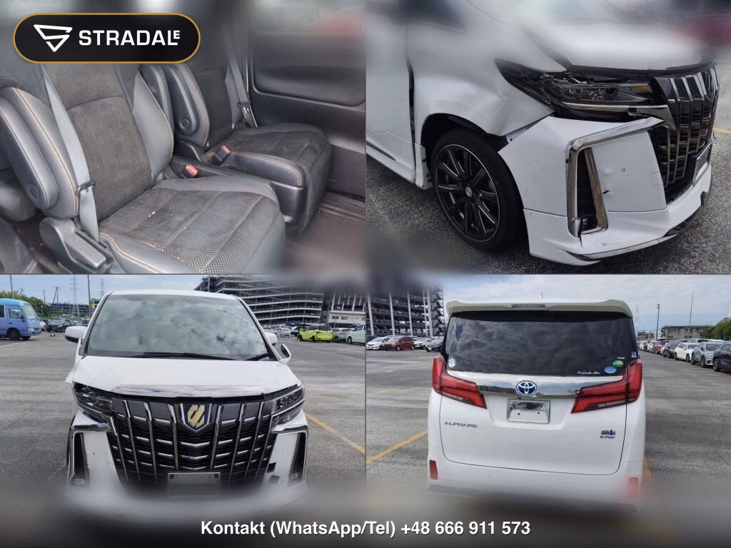 TOYOTA ALPHARD HYBRID 4WD S TYPE GOLD, miniaturka 7