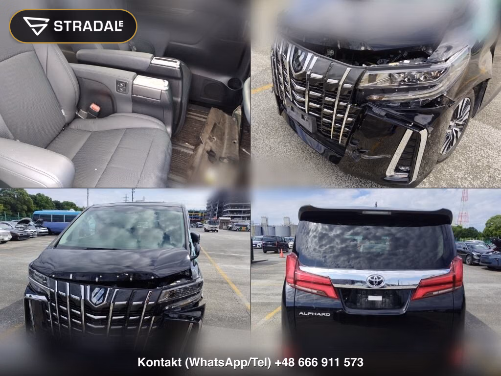 TOYOTA ALPHARD 2.5S C PACKAGE, miniaturka 7