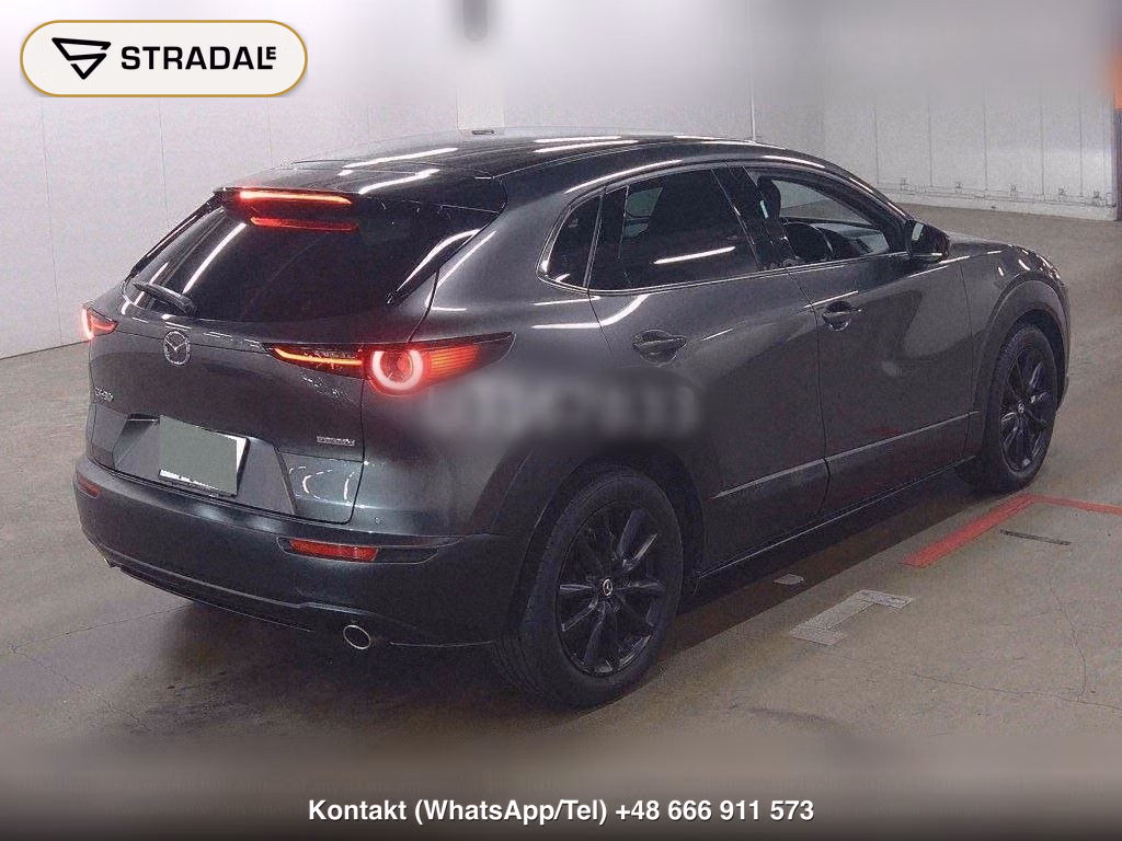 MAZDA CX-30 20S PROACTIVE TOURING SELECTION, miniaturka 6