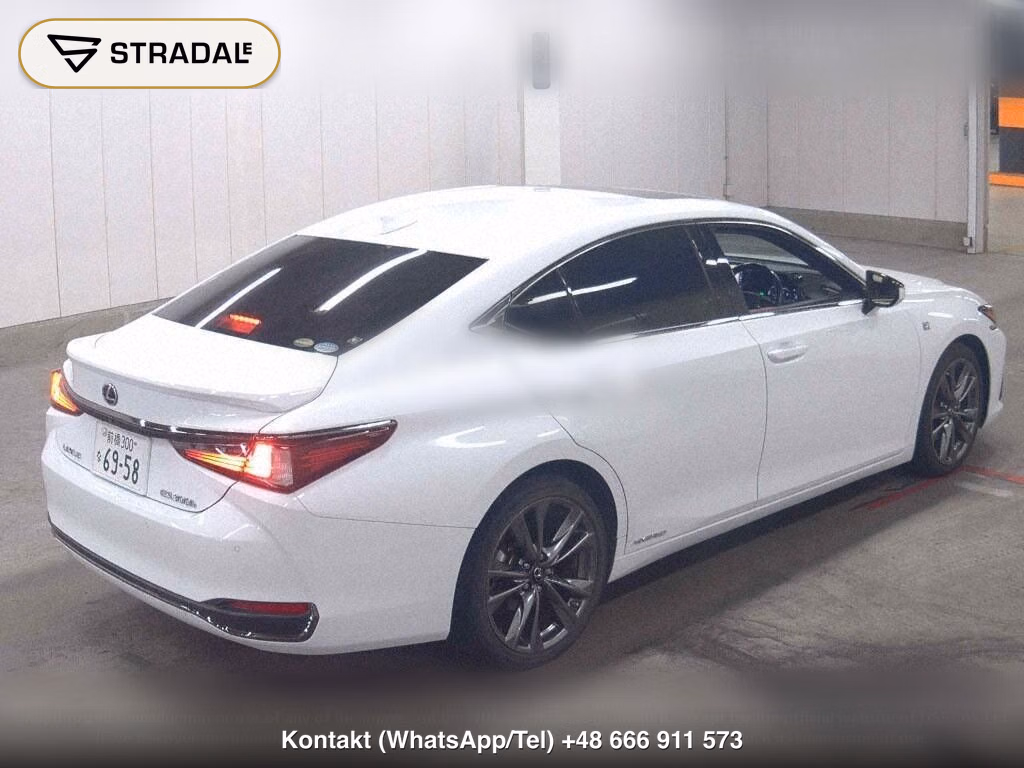 LEXUS ES ES300H F SPORT, miniaturka 6