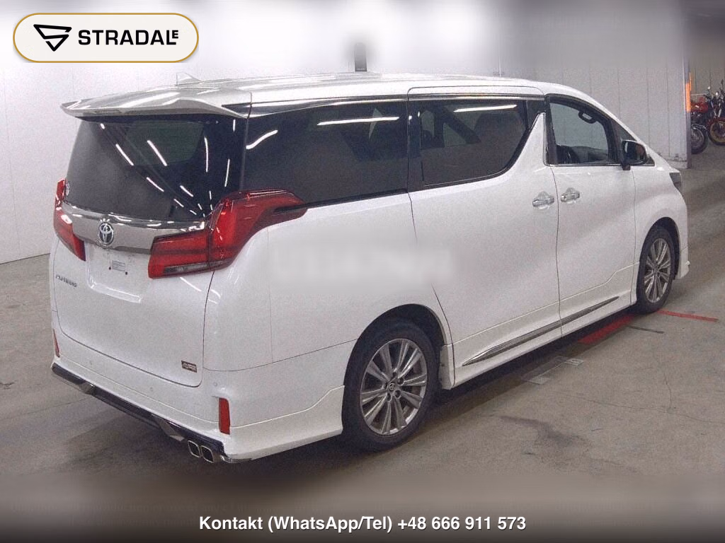 TOYOTA ALPHARD 2.5S TYPE GOLD, miniaturka 6
