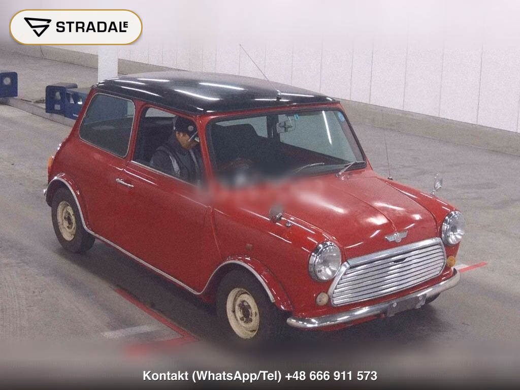 ROVER MINI 2D, miniaturka 2