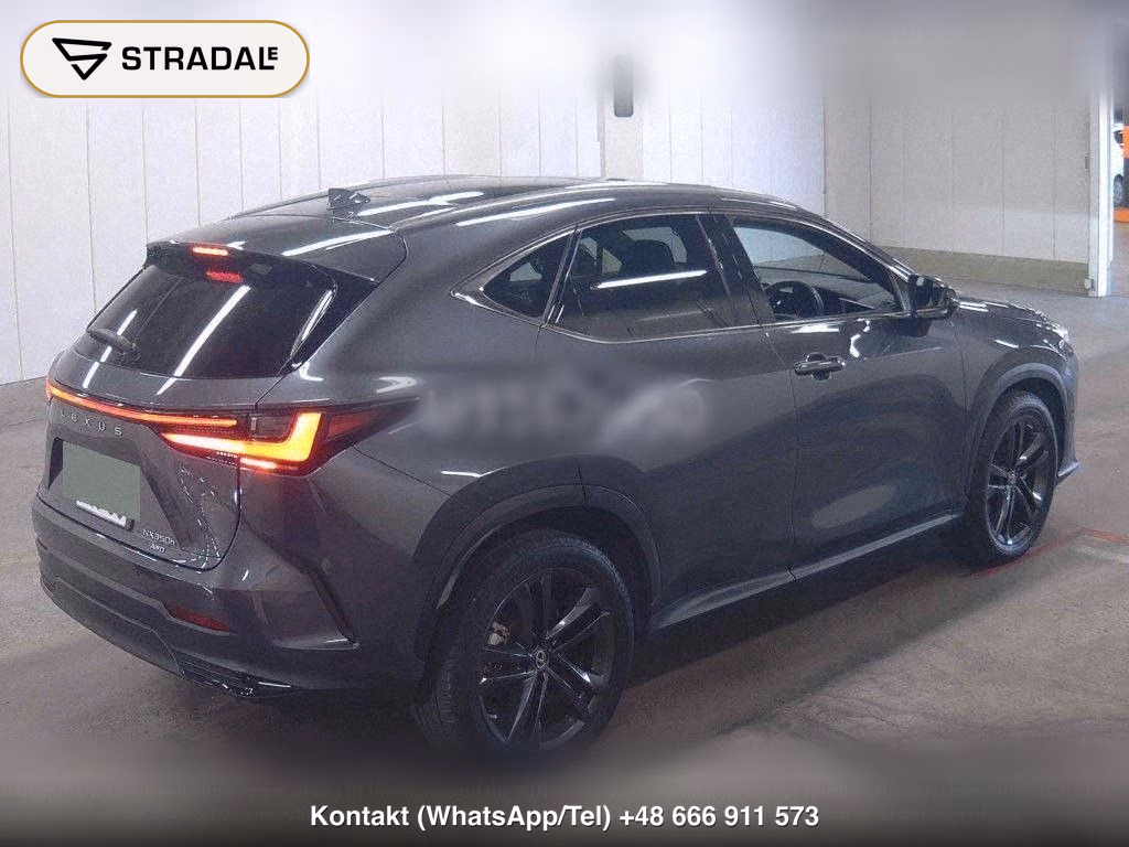 LEXUS NX 4WD NX350H VERSION L, miniaturka 6