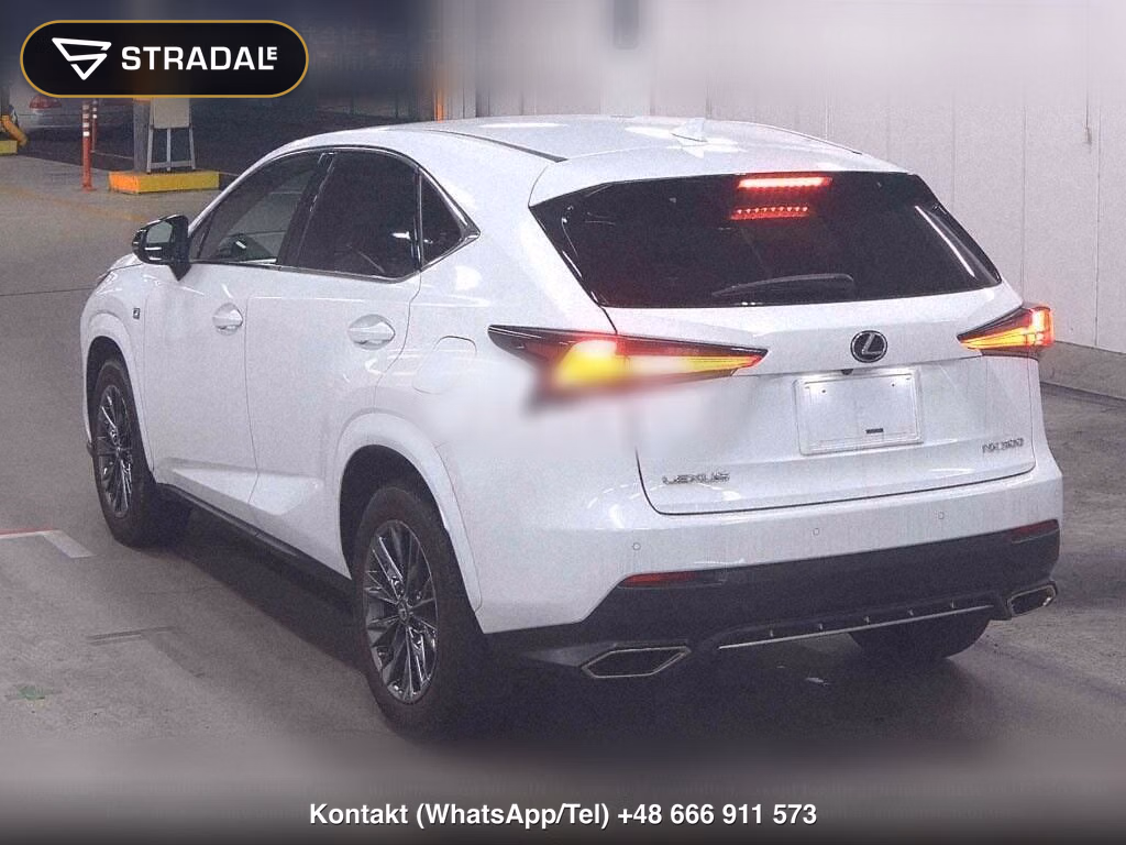 LEXUS NX NX300 SPECIAL EDITION COOL AND BRIGHT, miniaturka 3