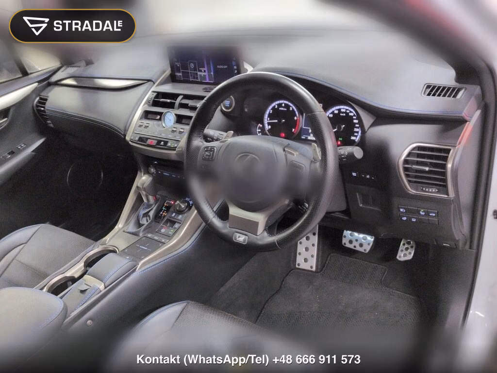 LEXUS NX NX300 SPECIAL EDITION COOL AND BRIGHT, miniaturka 4