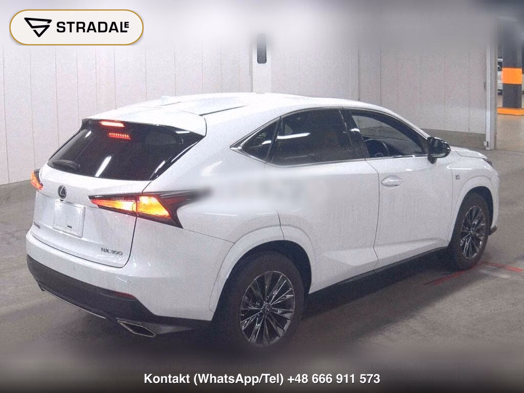 LEXUS NX NX300 SPECIAL EDITION COOL AND BRIGHT, miniaturka 6